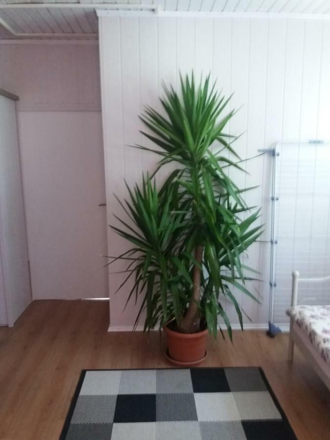 Apartment Tunel Hrušica エクステリア 写真